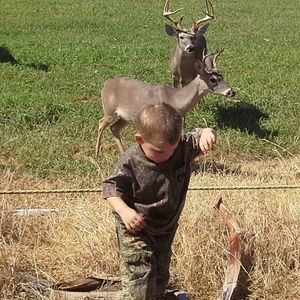 Meet your Posher, Carolyn